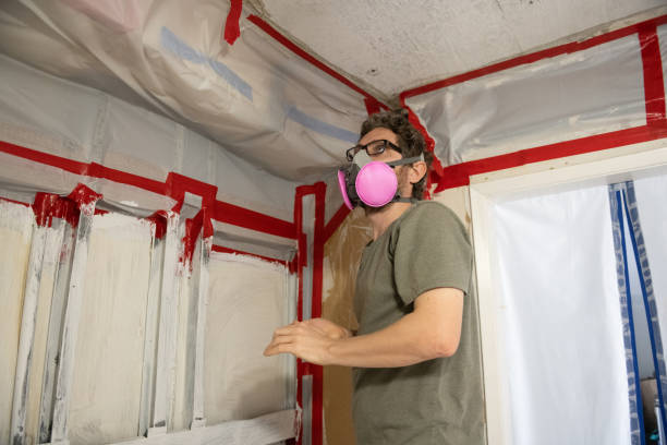 Mold Removal for HVAC Installations in Old Town, ME